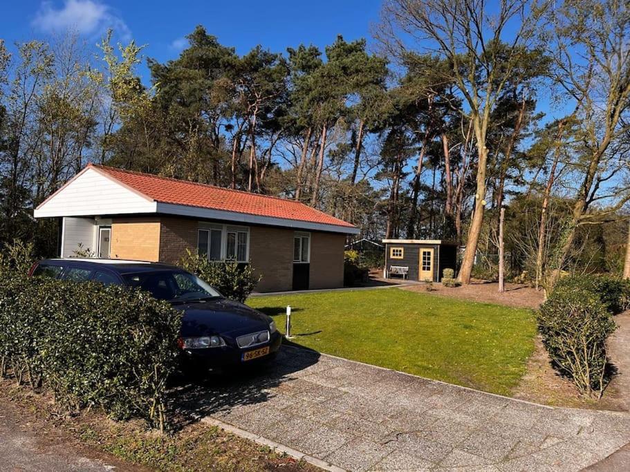 Fijne Plek Met Eigen Bos 2000M2 En Gratis Linnen En Handdoeken!! Denekamp Exteriör bild