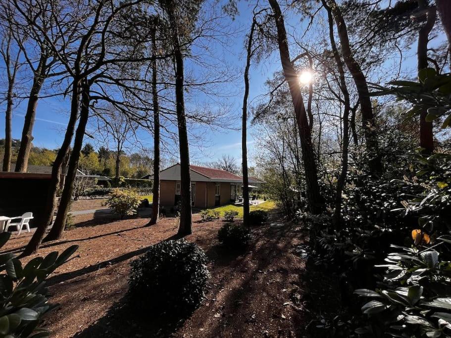 Fijne Plek Met Eigen Bos 2000M2 En Gratis Linnen En Handdoeken!! Denekamp Exteriör bild