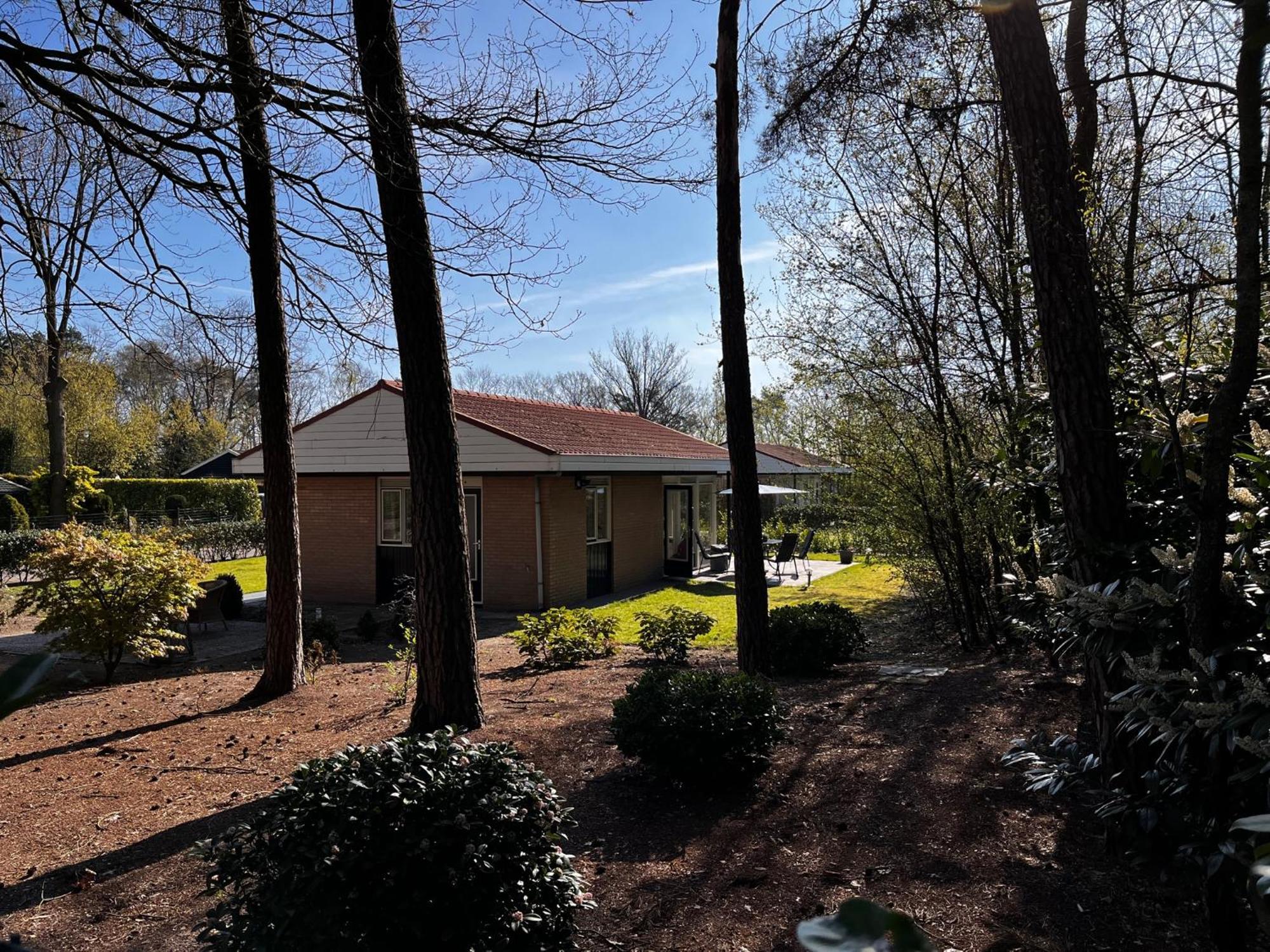 Fijne Plek Met Eigen Bos 2000M2 En Gratis Linnen En Handdoeken!! Denekamp Exteriör bild